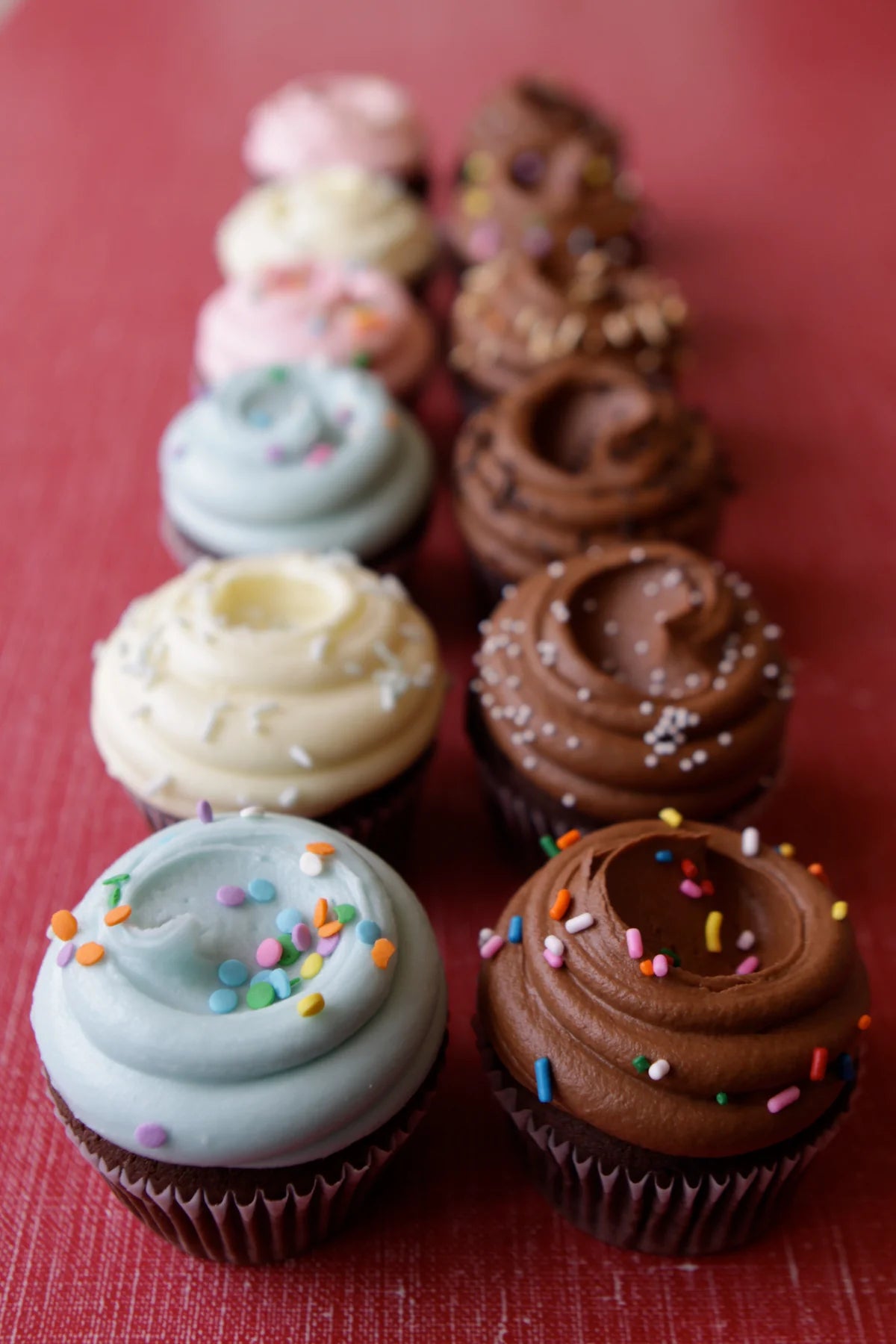 Row of colorful cupcakes with frosting and sprinkles, including chocolate, vanilla, and light blue frosting.